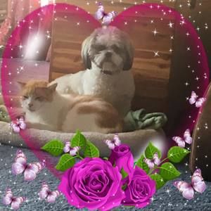 Meet your Posher, Stacy